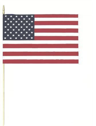USA Pride Flags 12 x 18" 9074D